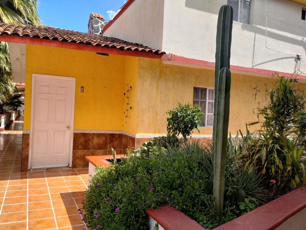 a yellow house with a white door and a cactus at QUINTA SAN LUCAS TLAXCALA 
