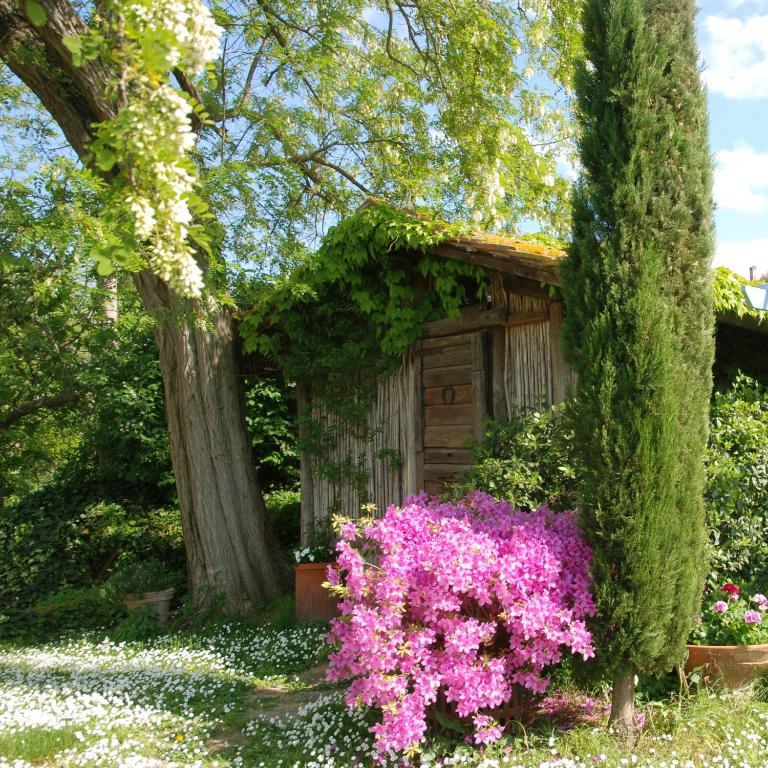 Zahrada ubytování Appartamento con patio privato e giardino tra Pisa e Firenze