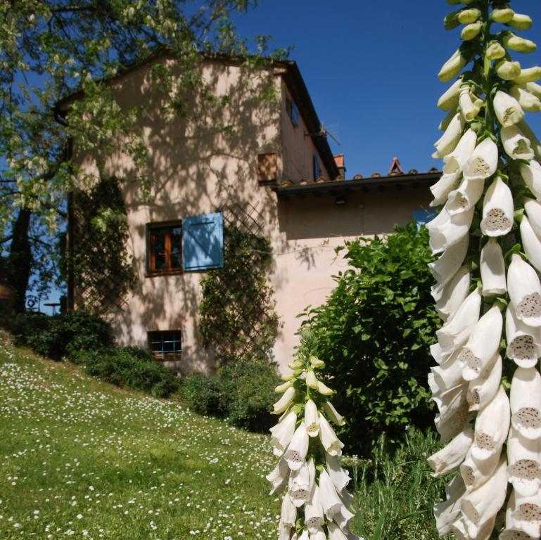 Zahrada ubytování Appartamento con patio privato e giardino tra Pisa e Firenze