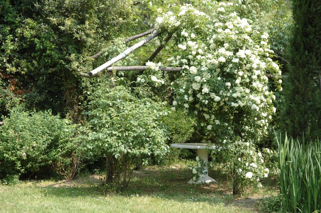 Zahrada ubytování Appartamento con patio privato e giardino tra Pisa e Firenze