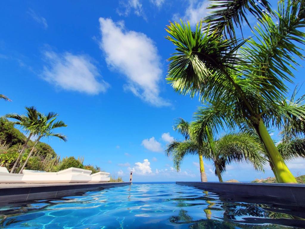 a swimming pool with palm trees on the beach at Villa Coco Rock in Saint Barthelemy