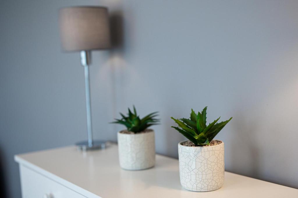 Zdjęcie z galerii obiektu LM APARTAMENTY NARUTOWICZA Kamienica Nova 2-3 w Szczecinie