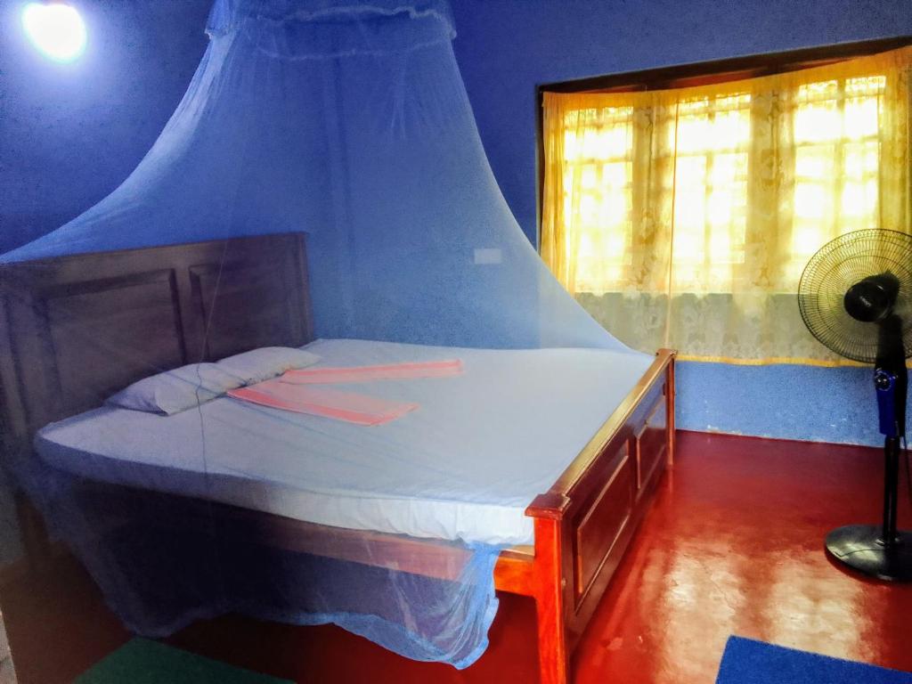 Peacock Family Stay - 19