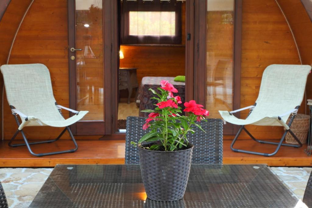 Campeggio Sanfilippo - 14