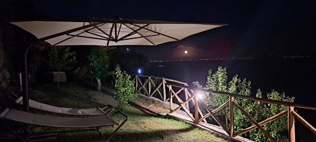 Przyroda w pobliżu tego aparthotelu