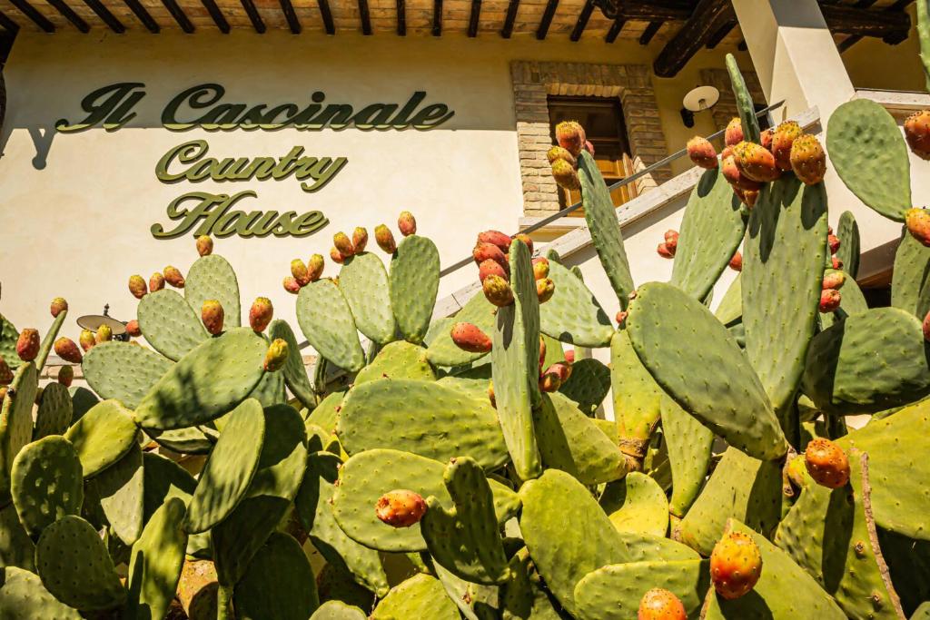 Zahrada ubytování Country House Il Cascinale