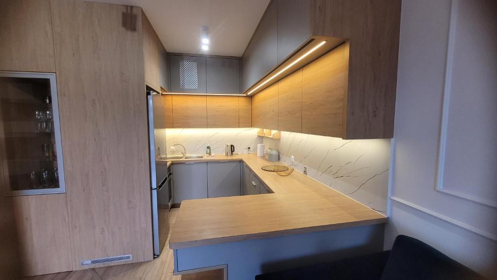 eine Küche mit einer Spüle und einer Arbeitsplatte in der Unterkunft Queen Apartament Centrum z garażem in Mińsk Mazowiecki
