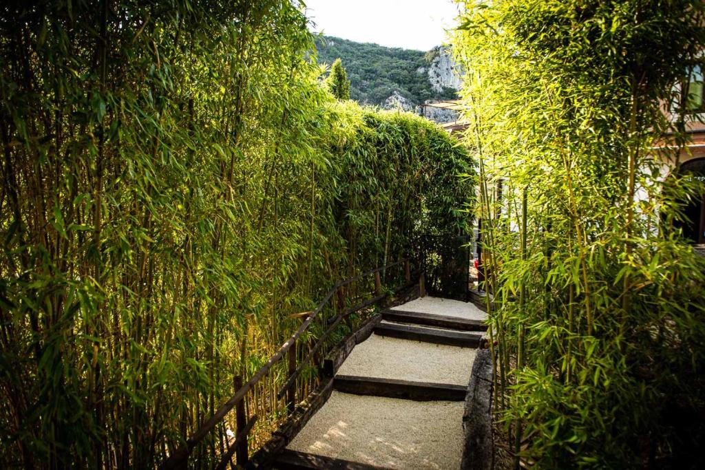 a walkway through a hedge with plants at Le Belvedere in Vallon-Pont-dʼArc