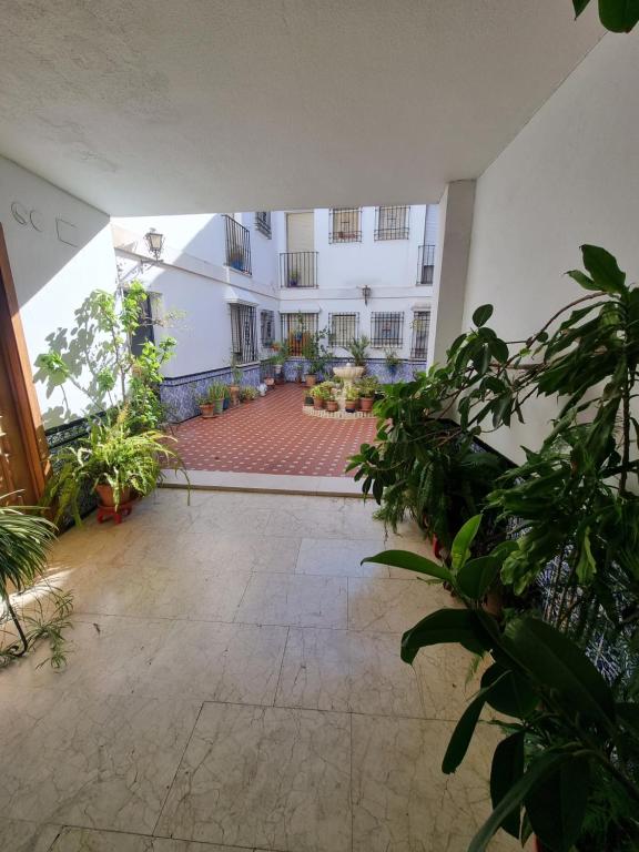 Balkón alebo terasa v ubytovaní Apartamentos en Patio Cordobés San Basilio
