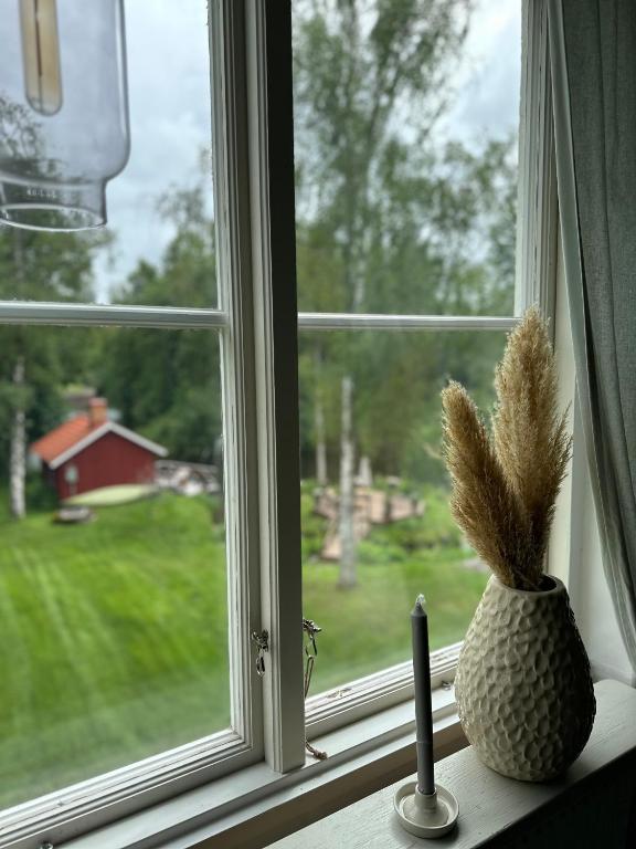 Zahrada ubytování Prästgården
