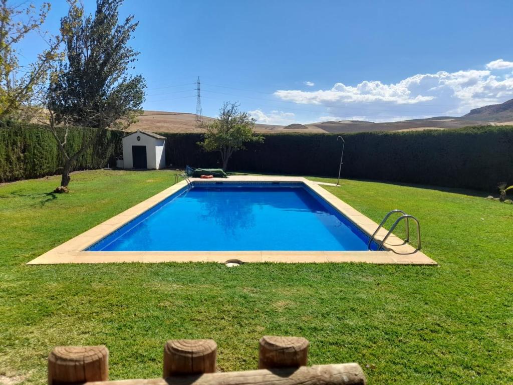 ein kleiner Pool in einem Garten mit Gras in der Unterkunft Complejo Cortijo Rural el Puntal in Teba