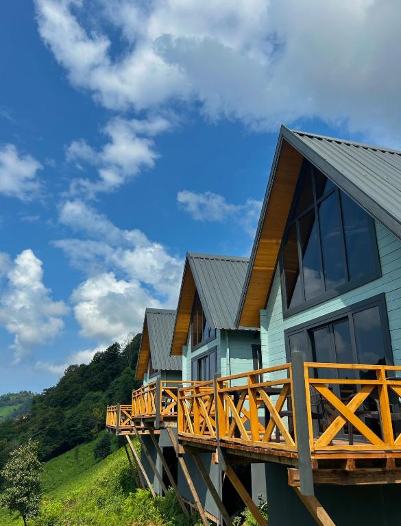 Příroda nedaleko hotelu