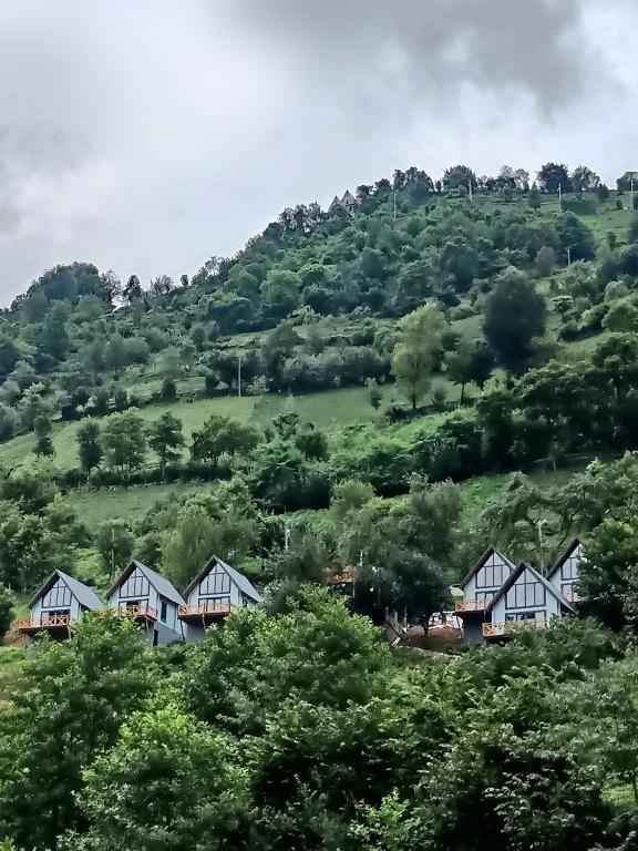Příroda nedaleko hotelu