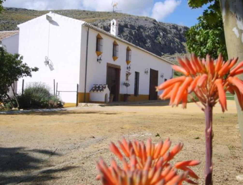 una flor frente a un edificio blanco en Casa El Castillo, en Teba