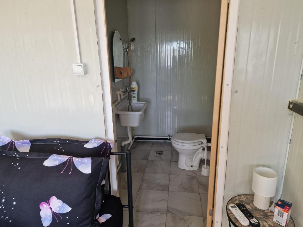 La petite salle de bains est pourvue de toilettes et d'un lavabo. dans l'établissement Big Bear Hunting Lodge, à Buzău