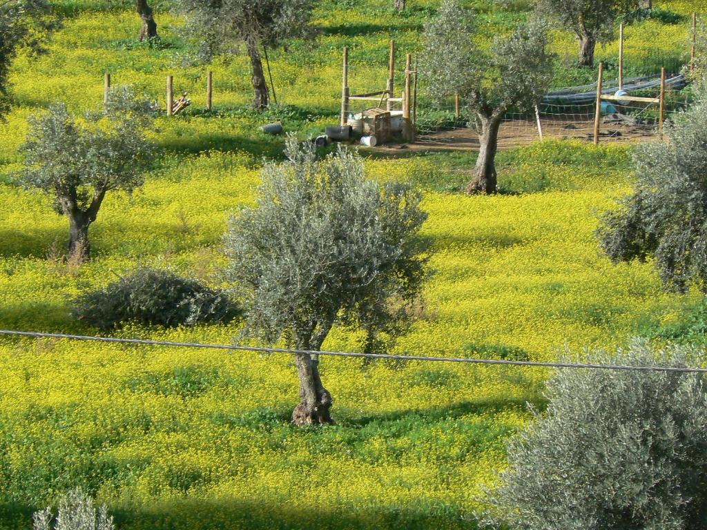 Graca Hotel - Resim 41