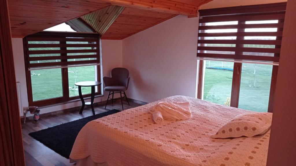 的住宿－Meriç butik otel，一间卧室设有床、两扇窗户和一把椅子