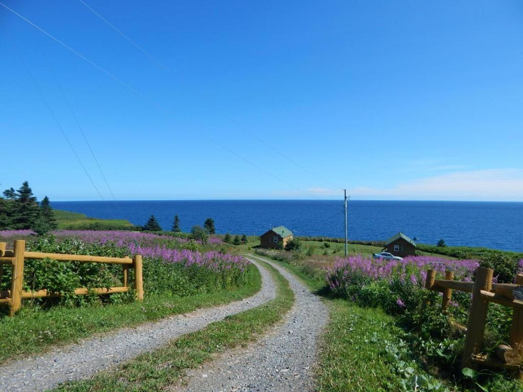 un camino de tierra junto al océano con flores púrpuras en Les Chalets Brise-de-Mer, en Sainte-Thérèse-de-Gaspé