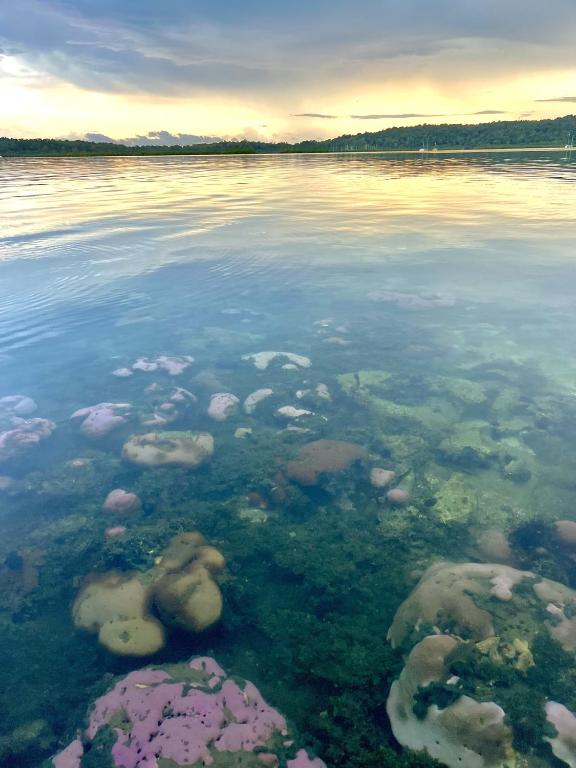 a large body of water with algae and rocks at Akwaba Lodge in The Gap