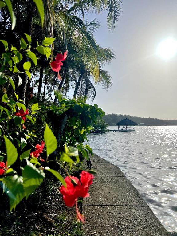 a sidewalk next to a body of water with flowers at Akwaba Lodge in The Gap