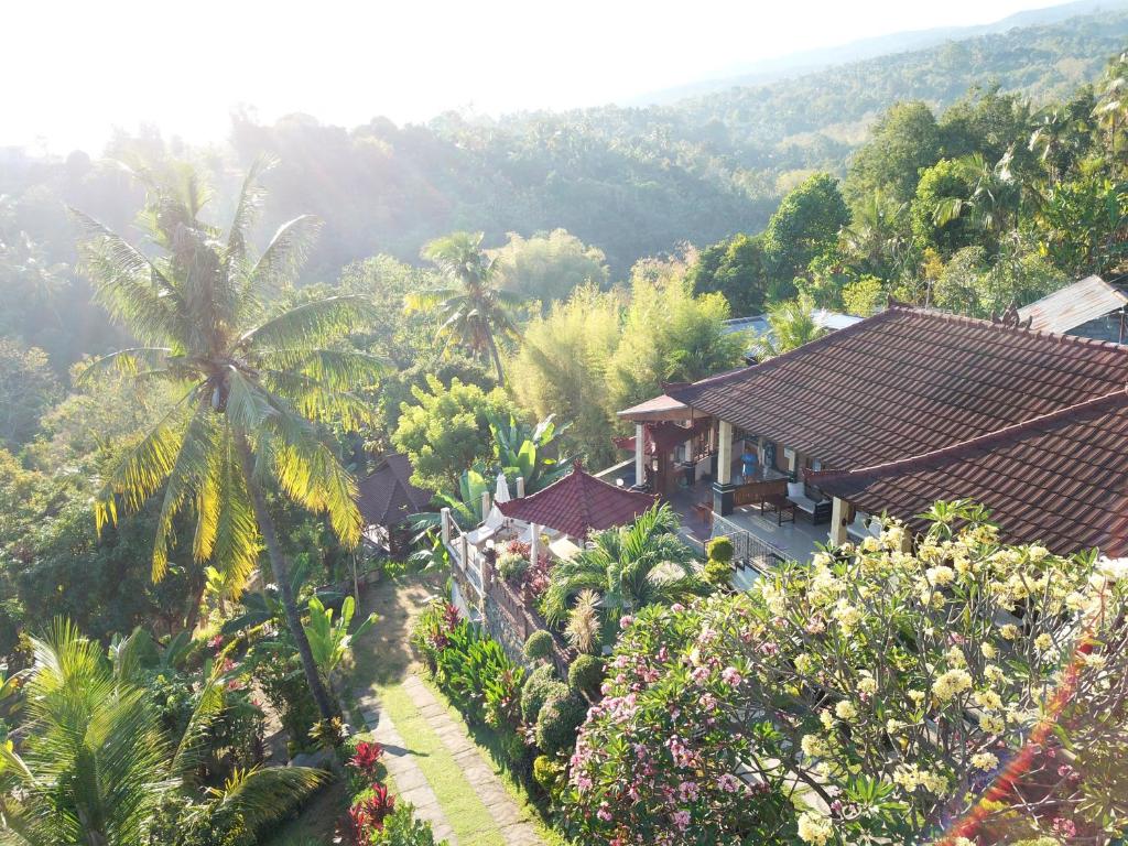 an aerial view of a house in a forest at Sanshikirana House Lovina in Lovina