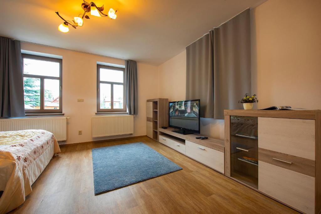 TV a/nebo společenská místnost v ubytování Guest House Mengsdorf