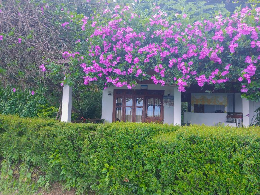 Ella Happy View Homestay - 16