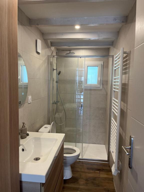 La salle de bains est pourvue d'une douche, de toilettes et d'un lavabo. dans l'établissement Maisonnette avec petite forêt, à Valréas