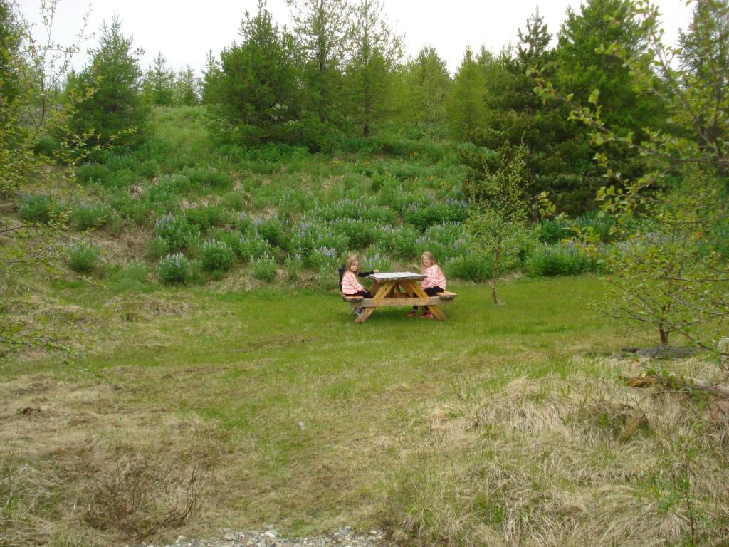 Zahrada ubytování Vinland Camping Pods