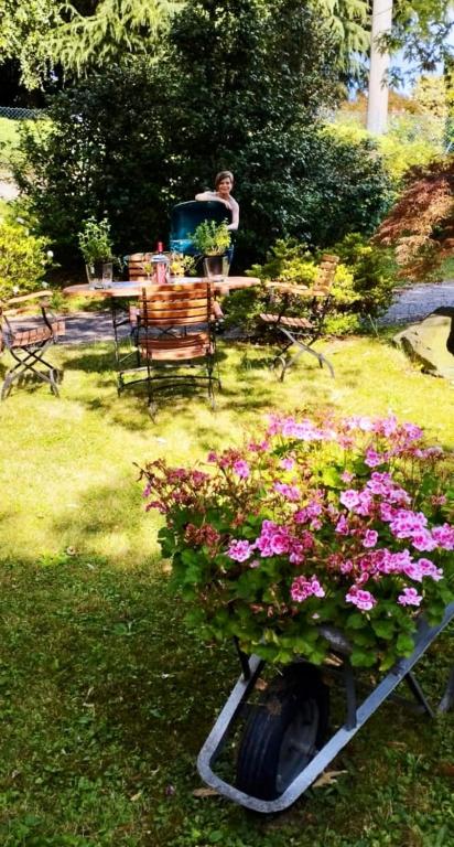 Zahrada ubytování LUKAS HOME CON IL CUORE Appartamento 3 camere al piano terra e appartamento 1 camera in taverna