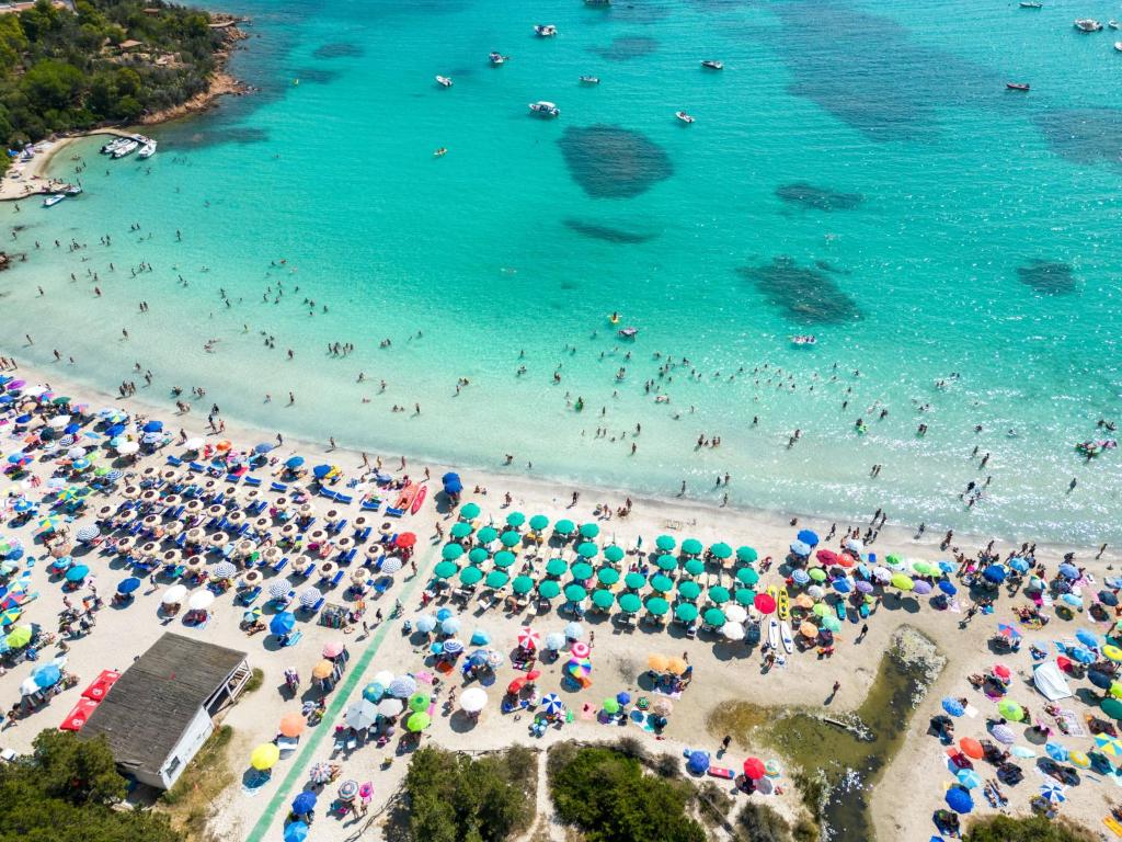 Táj Show holiday homes közelében