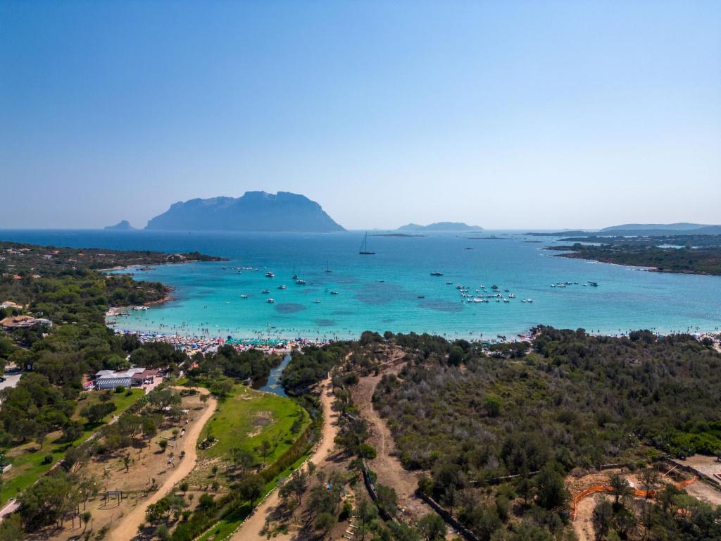 Táj Show holiday homes közelében