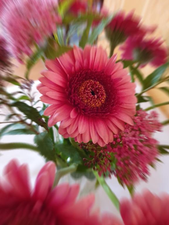 H5 Hotel Bremen - Resim 16