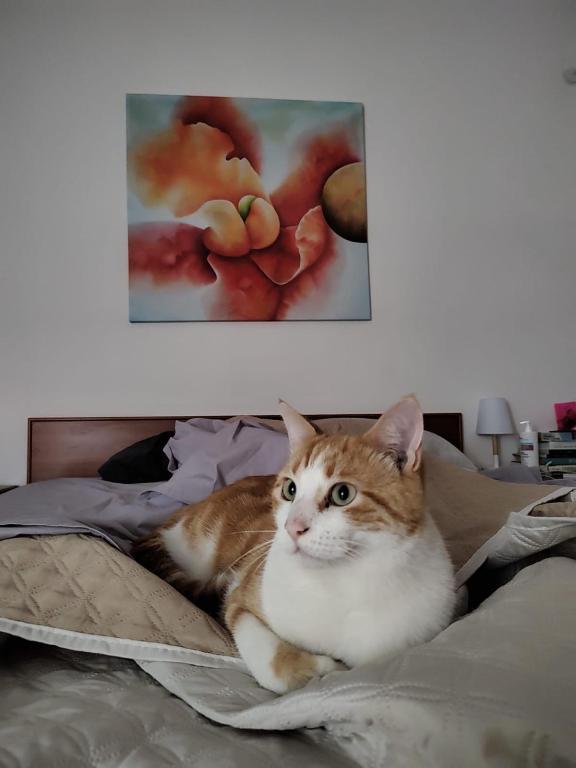 B&B Uva Fragola