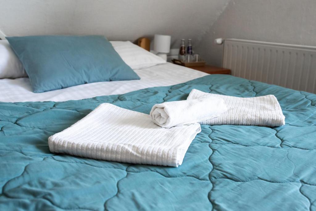 Willa JODŁA Wisła - 3