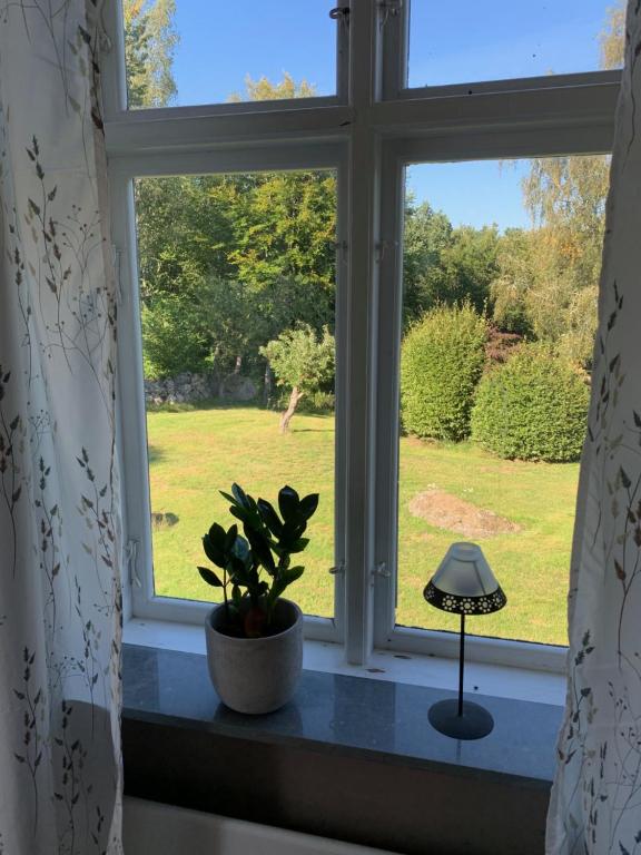 Zahrada ubytování Haus Lasse
