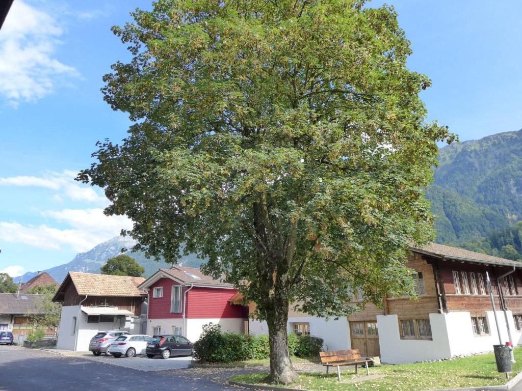 a tree on the side of a street in a village at Apartment Tilia by Interhome in Bönigen
