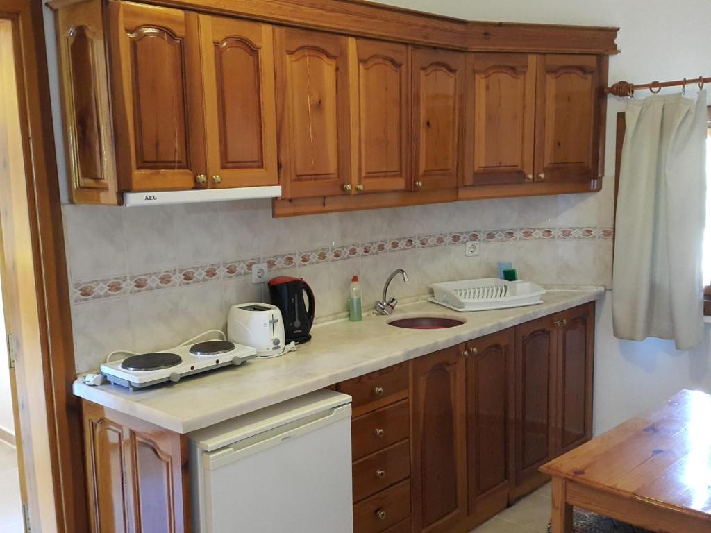 Kuchyň nebo kuchyňský kout v ubytování Dolphin Apartments