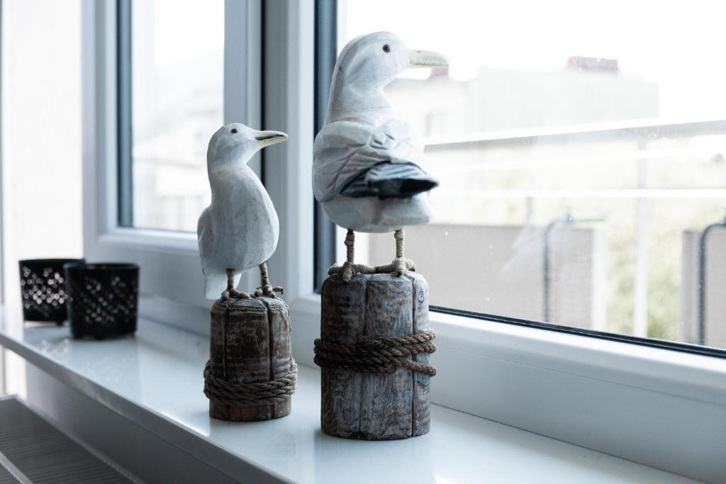 dos gaviotas sentadas en el alféizar de una ventana en Nordic sea, en Kołobrzeg