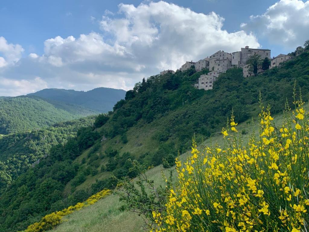 un castello su una collina con un campo di fiori gialli di Al Castello di Elcito a San Severino Marche