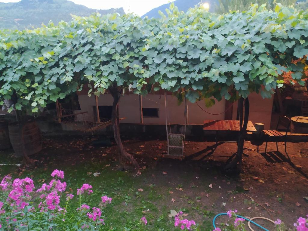 Zahrada ubytování Guest House Nene