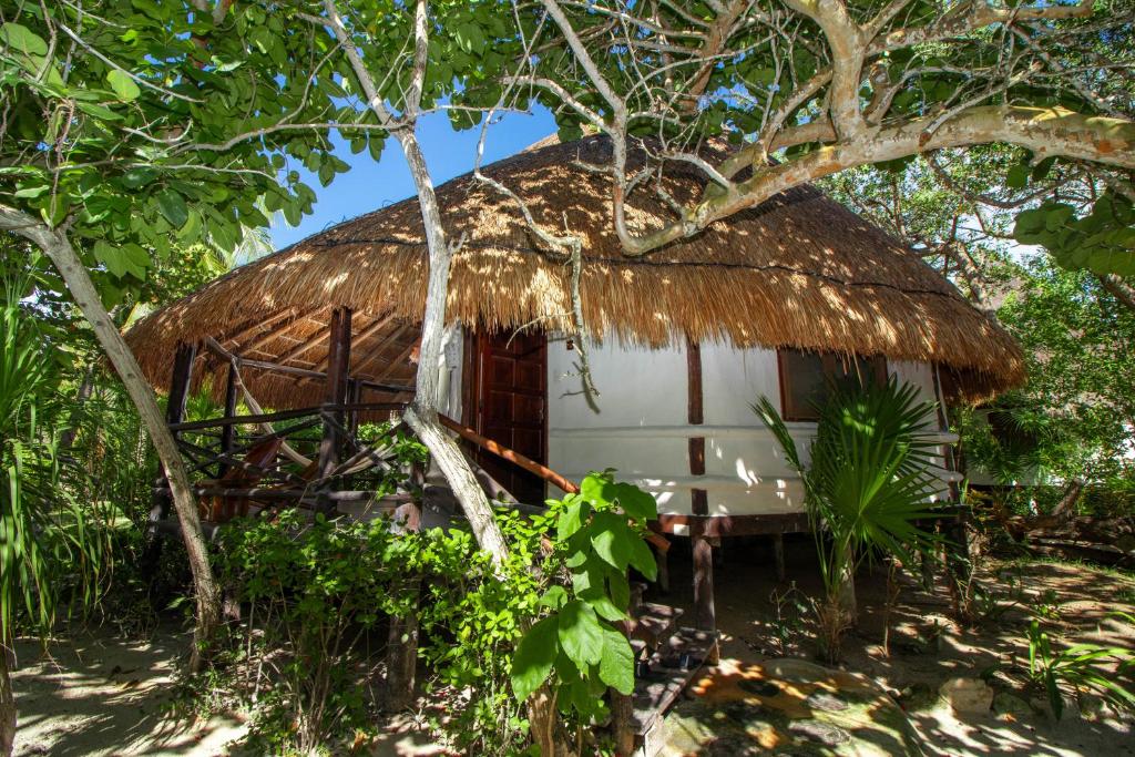 Zahrada ubytování Blue Holbox