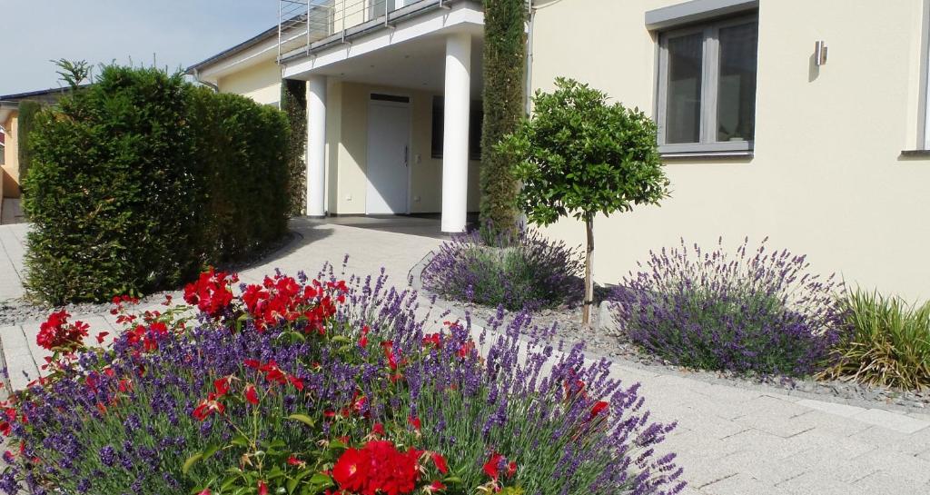 Apartments Relax & Nice - 2