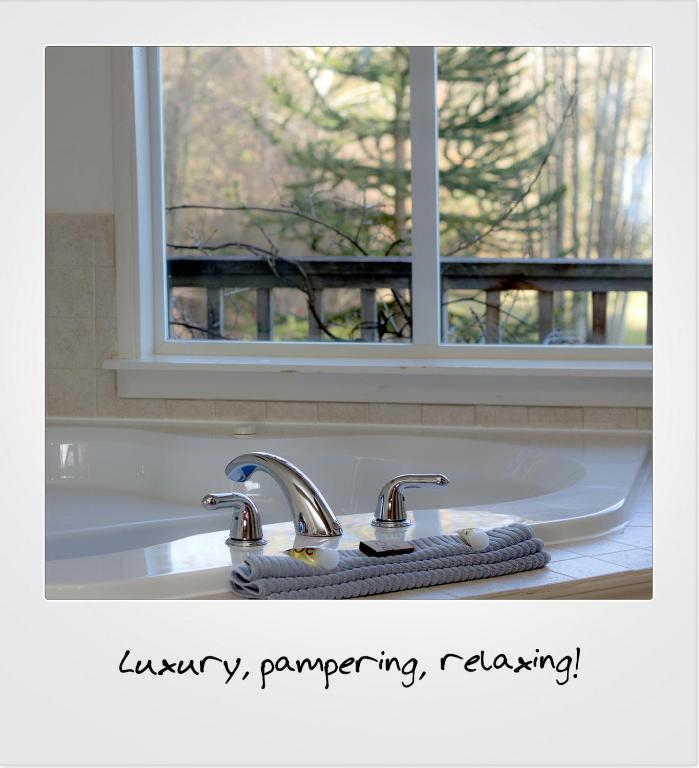 a bathroom sink with two faucets and a window at Quarrystone House B&B in Fernwood