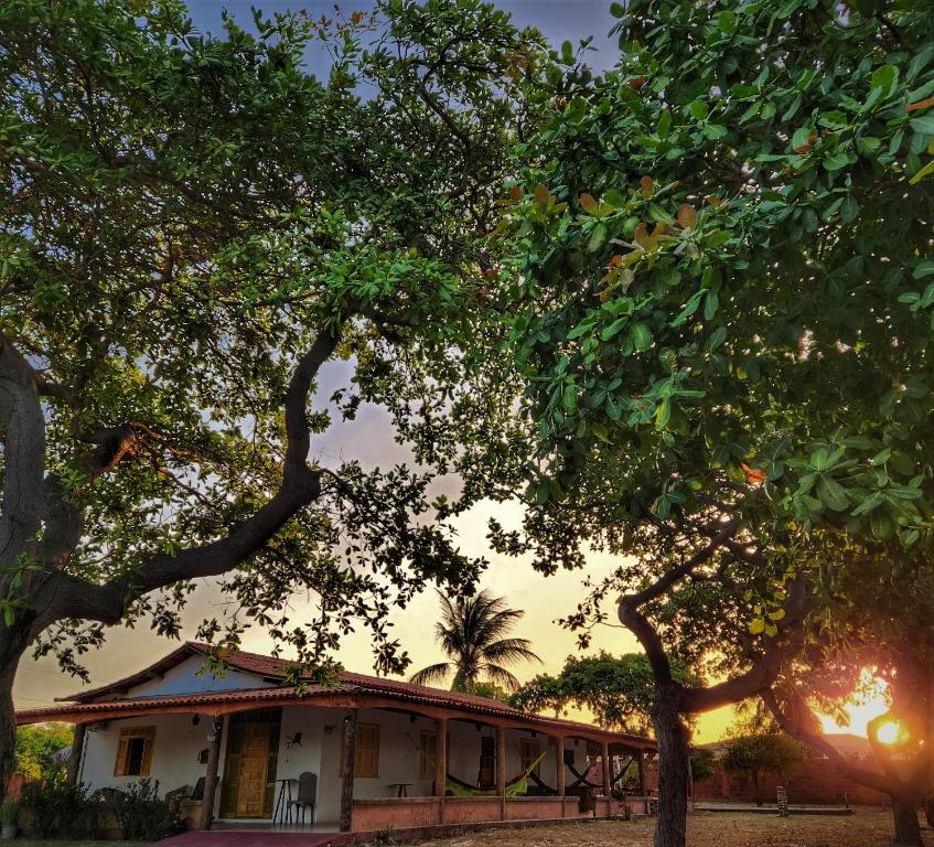 Sítio SPA Céu De Verdade , Praia de Barra Nova , Ceará