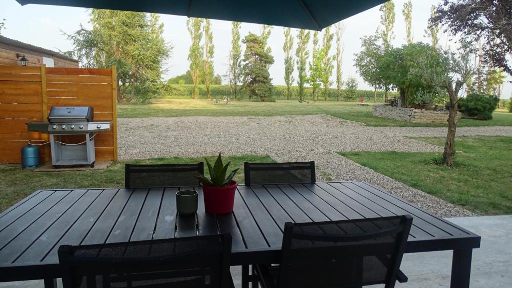 a picnic table with chairs and a grill in a yard at Maison pour 4/ 6 personnes les hirondelles in Saint-Vivien-de-Monségur