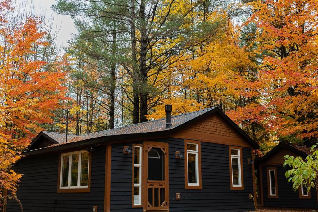 una casa negra con árboles de otoño en el fondo en The Doma Lodge - Cozy Muskoka Cabin in the Woods, en Huntsville