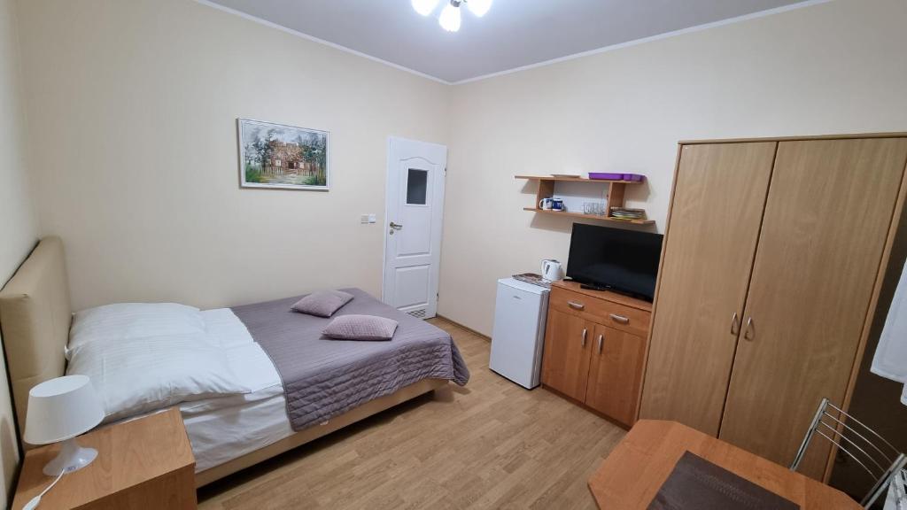 TV a/nebo společenská místnost v ubytování Pokoje Basia