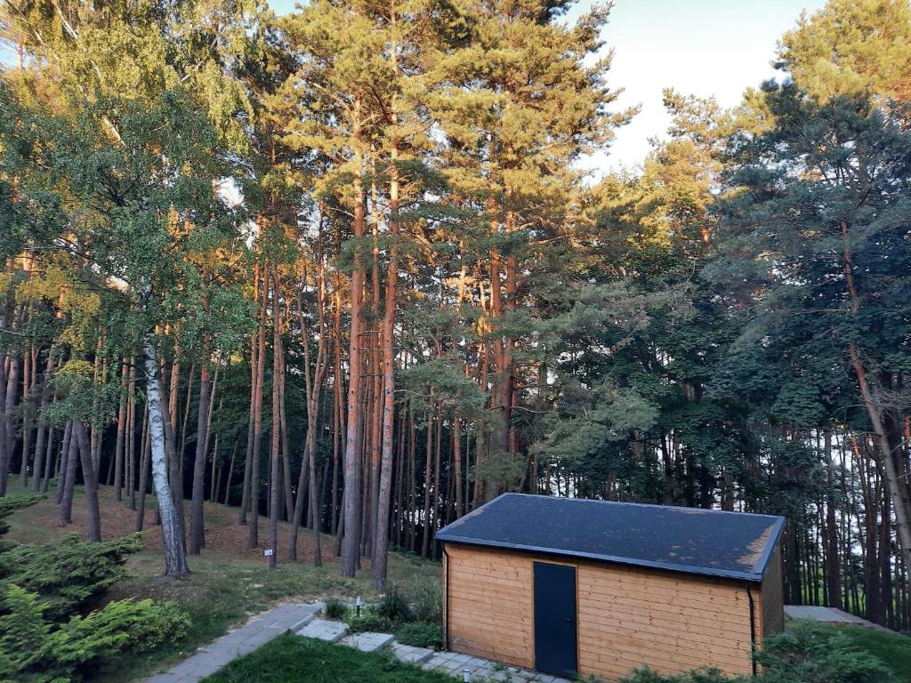 Příroda nedaleko apartmánu