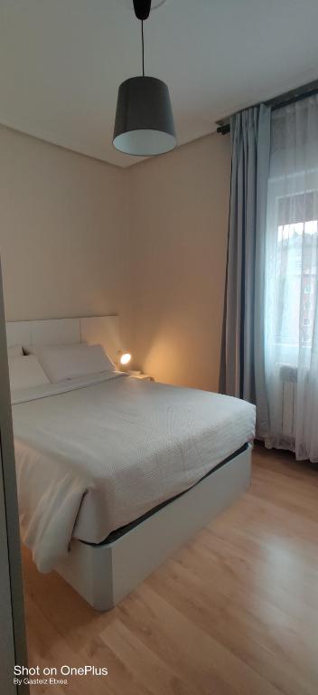 Postel nebo postele na pokoji v ubytování Gasteiz Etxea Il